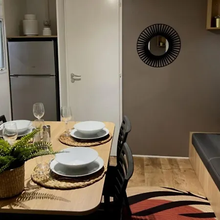 Mobil-home Spacieux Avec Terrasse A - Api-1-52-867
